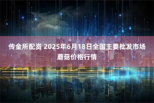 传金所配资 2025年6月18日全国主要批发市场蘑菇价格行情