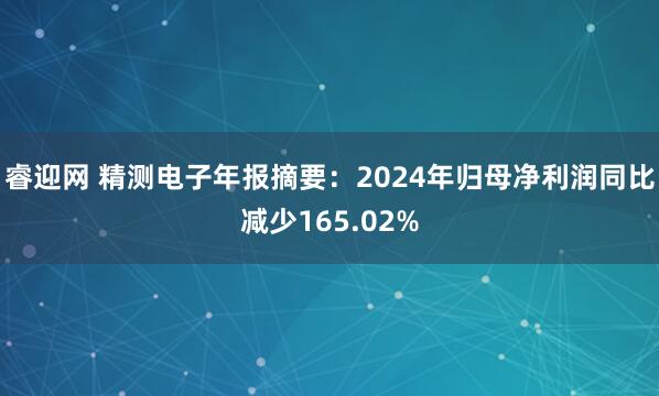 睿迎网 精测电子年报摘要：2024年归母净利润同比减少165.02%